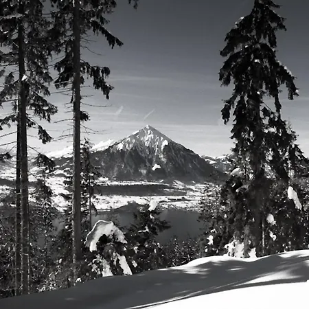Otium Chalet Edelweiss * Sigriswil